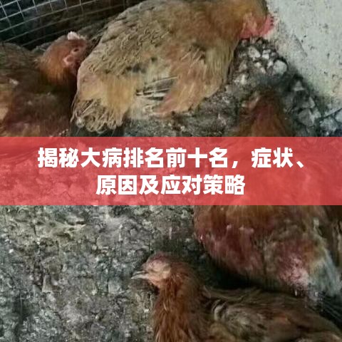 揭秘大病排名前十名，癥狀、原因及應(yīng)對(duì)策略
