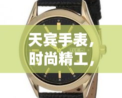 天賓手表，時尚精工，品質(zhì)之選