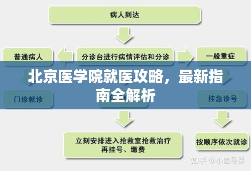 北京醫(yī)學(xué)院就醫(yī)攻略，最新指南全解析