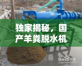 獨(dú)家揭秘，國(guó)產(chǎn)羊糞脫水機(jī)公司排名及行業(yè)影響力，百度收錄必備標(biāo)題！