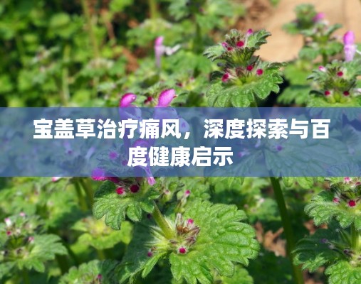 寶蓋草治療痛風(fēng)，深度探索與百度健康啟示