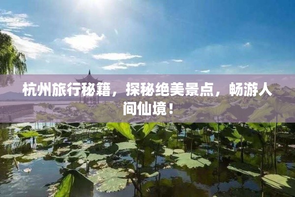 產(chǎn)品展示 第219頁