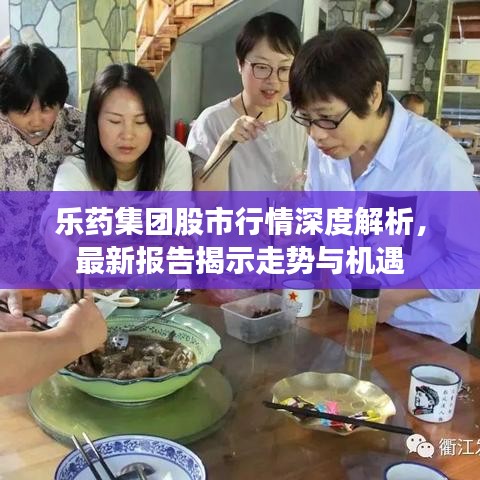 樂藥集團(tuán)股市行情深度解析，最新報(bào)告揭示走勢(shì)與機(jī)遇