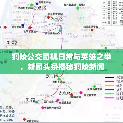 銅陵公交司機(jī)日常與英雄之舉，新聞?lì)^條揭秘銅陵新聞