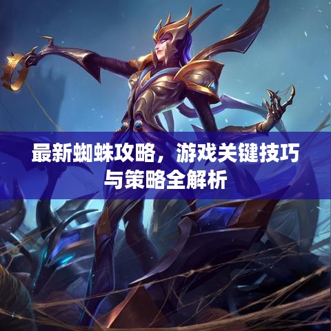 最新蜘蛛攻略，游戲關鍵技巧與策略全解析