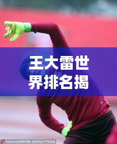 王大雷世界排名揭秘，中國(guó)足球的榮耀瞬間