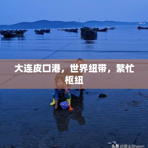 大連皮口港，世界紐帶，繁忙樞紐