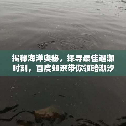 揭秘海洋奧秘，探尋最佳退潮時(shí)刻，百度知識(shí)帶你領(lǐng)略潮汐魅力