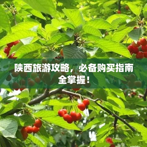 陜西旅游攻略，必備購買指南全掌握！