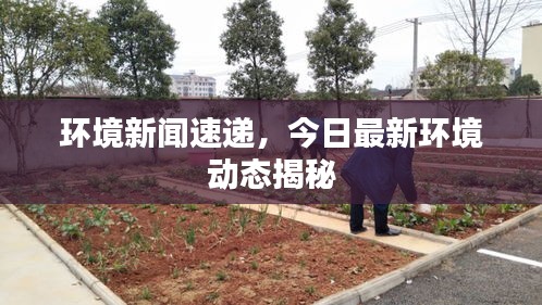 環(huán)境新聞速遞，今日最新環(huán)境動態(tài)揭秘