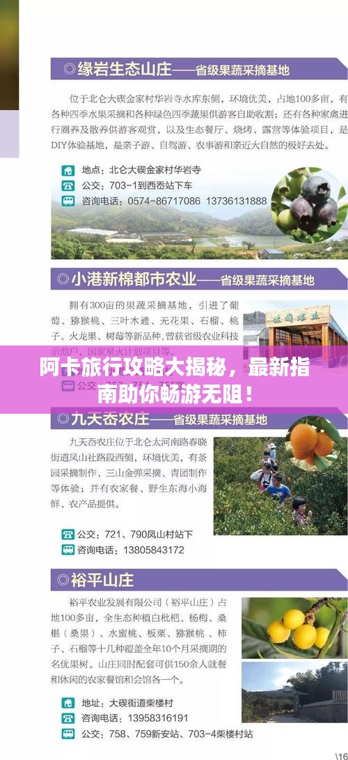 阿卡旅行攻略大揭秘，最新指南助你暢游無阻！
