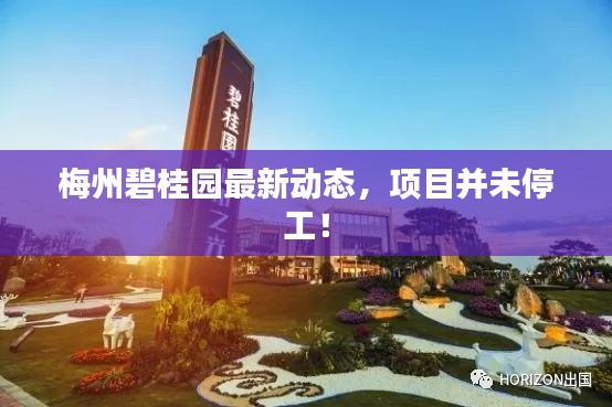 梅州碧桂園最新動(dòng)態(tài)，項(xiàng)目并未停工！