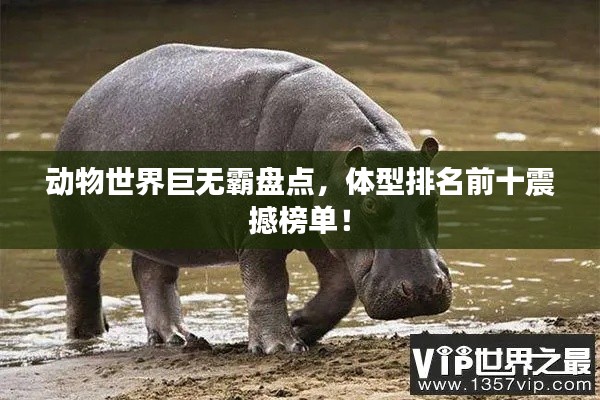 動物世界巨無霸盤點，體型排名前十震撼榜單！