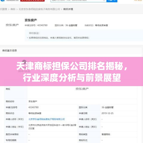 天津商標(biāo)擔(dān)保公司排名揭秘，行業(yè)深度分析與前景展望