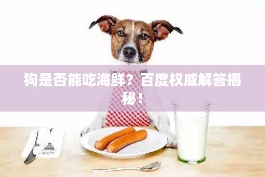 聯(lián)系我們 第173頁