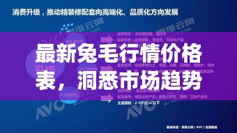 最新兔毛行情價格表，洞悉市場趨勢，把握行業(yè)脈動