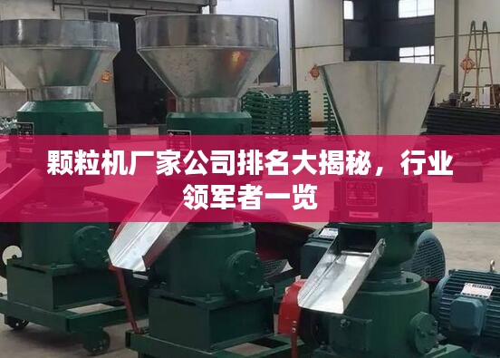 顆粒機廠家公司排名大揭秘，行業(yè)領軍者一覽