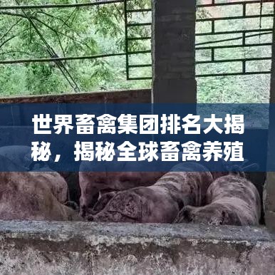 世界畜禽集團排名大揭秘，揭秘全球畜禽養(yǎng)殖巨頭榜單
