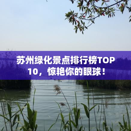 蘇州綠化景點排行榜TOP10，驚艷你的眼球！