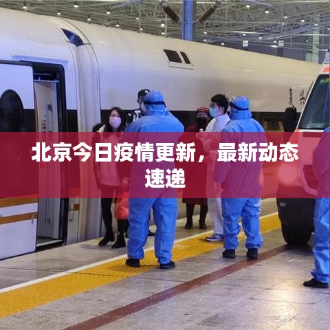 北京今日疫情更新，最新動態(tài)速遞