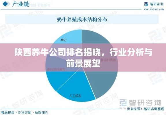 陜西養(yǎng)牛公司排名揭曉，行業(yè)分析與前景展望