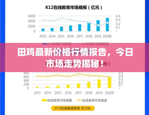 田雞最新價格行情報告，今日市場走勢揭秘！