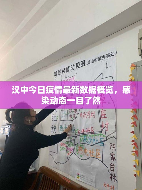 漢中今日疫情最新數(shù)據(jù)概覽，感染動態(tài)一目了然