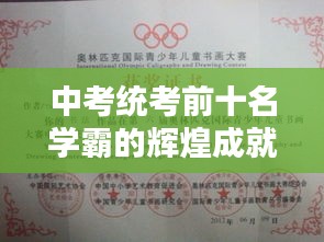 中考統(tǒng)考前十名學(xué)霸的輝煌成就，優(yōu)秀學(xué)子的榮耀之路