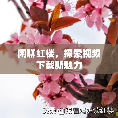 閑聊紅樓，探索視頻下載新魅力