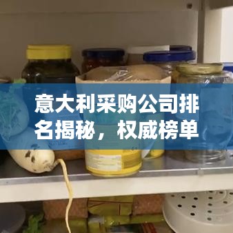意大利采購公司排名揭秘，權(quán)威榜單揭曉頂級企業(yè)榜單