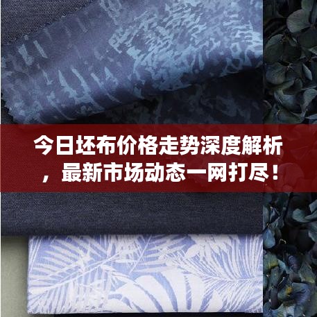 今日坯布價(jià)格走勢(shì)深度解析，最新市場(chǎng)動(dòng)態(tài)一網(wǎng)打盡！