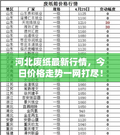 河北廢紙最新行情，今日價(jià)格走勢一網(wǎng)打盡！