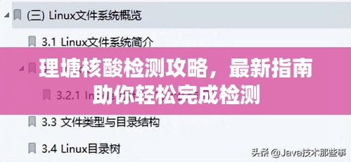 理塘核酸檢測攻略，最新指南助你輕松完成檢測