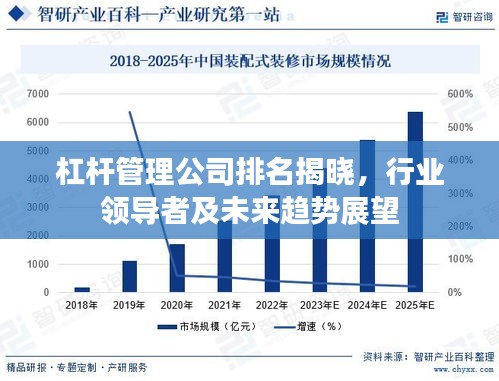 杠桿管理公司排名揭曉，行業(yè)領導者及未來趨勢展望