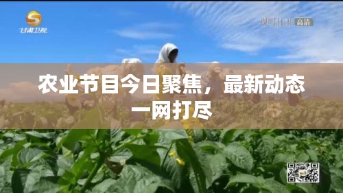 齒白唇紅 第2頁