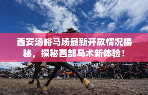 西安湯峪馬場最新開放情況揭秘，探秘西部馬術(shù)新體驗！