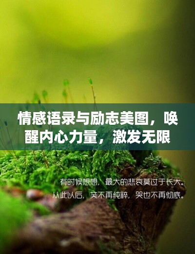 情感語(yǔ)錄與勵(lì)志美圖，喚醒內(nèi)心力量，激發(fā)無(wú)限潛能