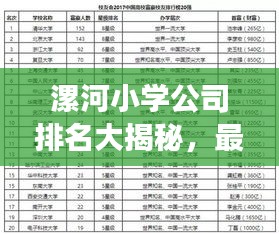 漯河小學(xué)公司排名大揭秘，最新榜單，家長必看！