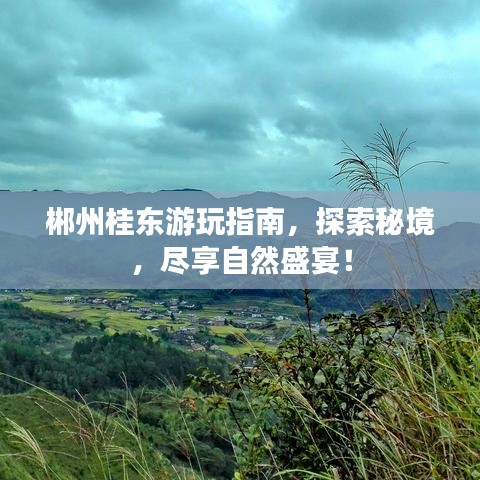 郴州桂東游玩指南，探索秘境，盡享自然盛宴！